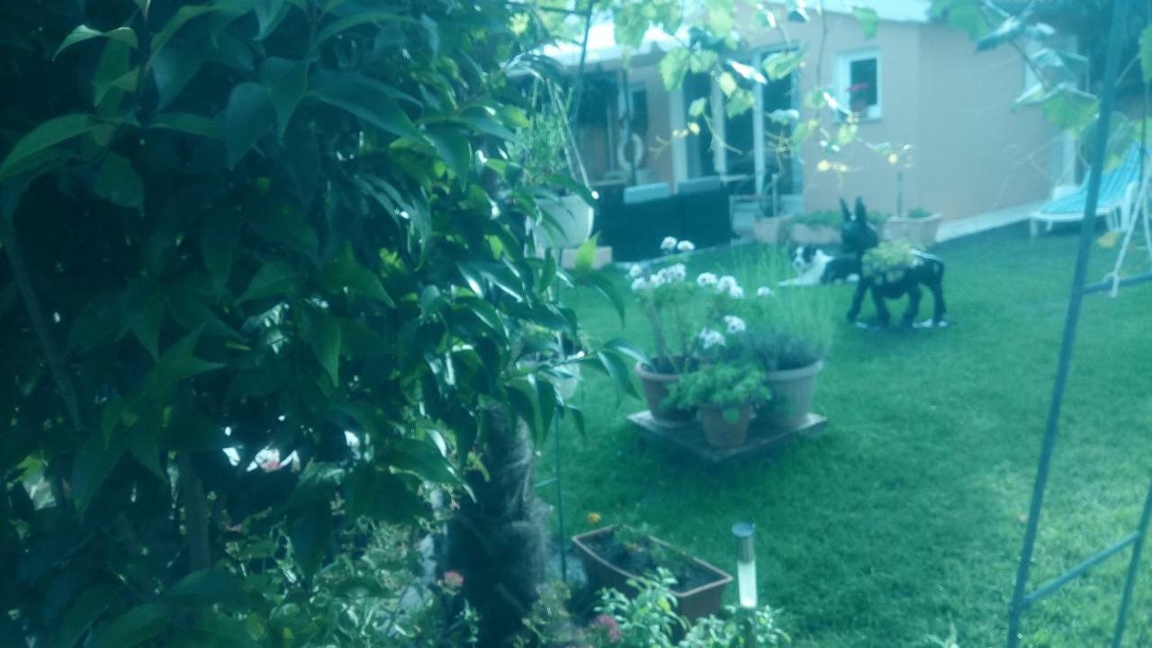 Apartment Dolce